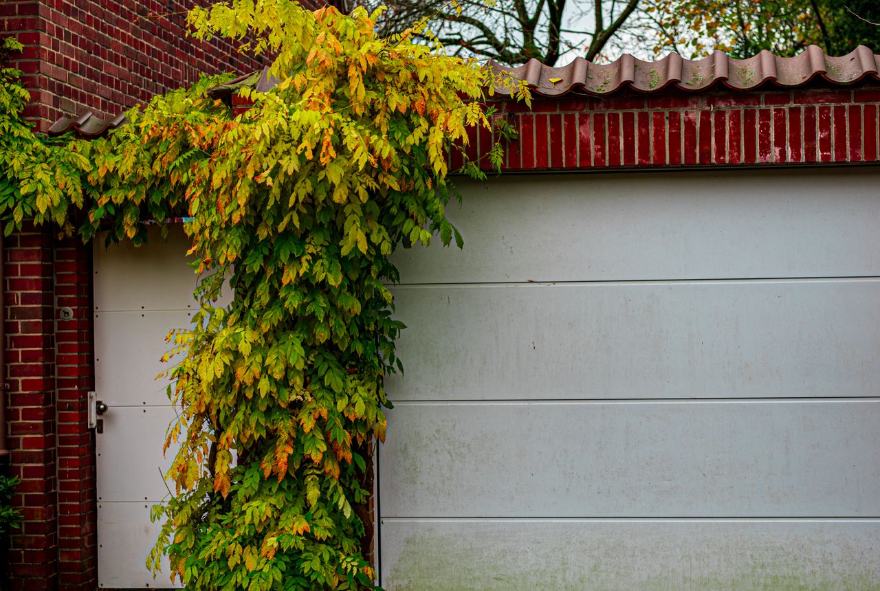 Garage door service in Rochester, MN
